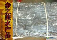 長島特產(chǎn)優(yōu)質(zhì)海帶批發(fā) 無根寬葉，粗加工水產(chǎn)品供應(yīng)