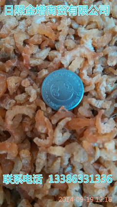 日照金增水產 冷凍帶魚塊段工廠直銷，優質批發首選