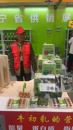 供銷優勢聚合，農特產品閃耀——宏偉區供銷社參展東北亞(營口)農副產品展銷會紀實