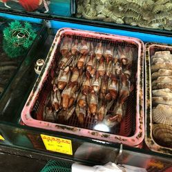 遠洋水產凍品批發市場 現代水產品批發的核心樞紐