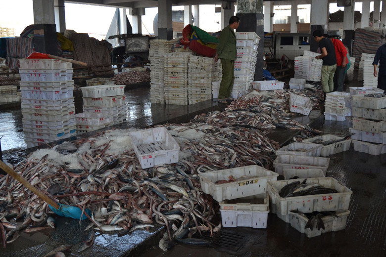 松門水產批發市場 邊買邊拍，探訪鮮活水產品批發新體驗