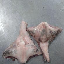 水產品市場全景 從價格、批發到廠家直銷與農副產品銷售一體化