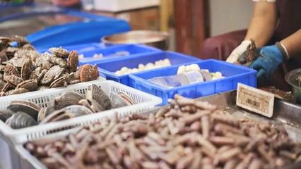 煙臺(tái)開海首日！凌晨碼頭沸騰，生猛海鮮批量上岸直供市民餐桌