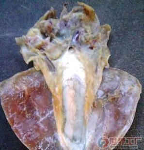 批發優級東海墨魚干 一站式水產干貨與海鮮大禮包采購指南