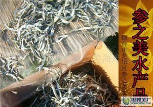 煙臺(tái)養(yǎng)馬島馬步魚(yú)上市 原味好魚(yú)，鮮達(dá)四方